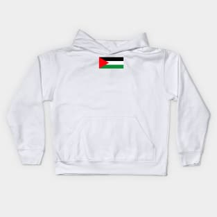 PALESTINE flag Kids Hoodie